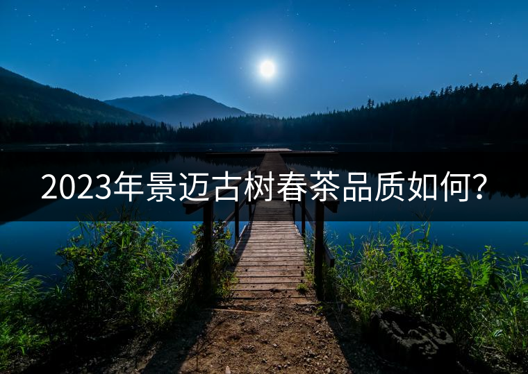 2023年景邁古樹春茶品質如何？