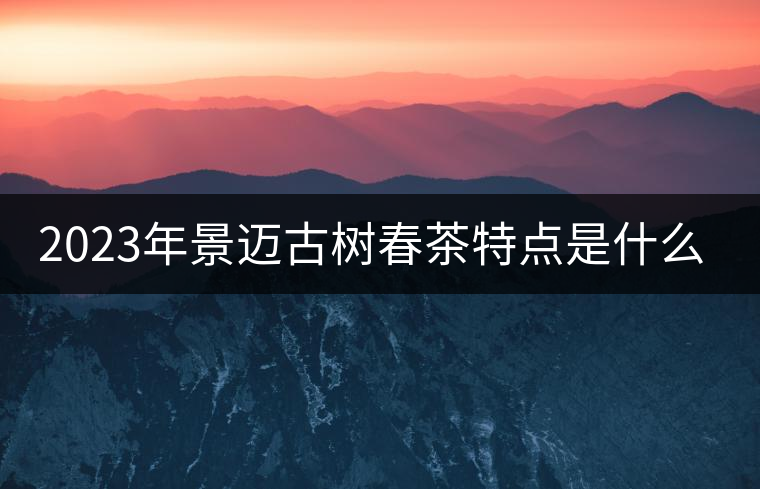 2023年景邁古樹春茶特點是什么？