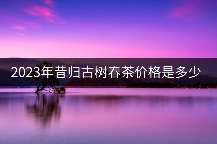 2023年昔歸古樹春茶價(jià)格是多少？