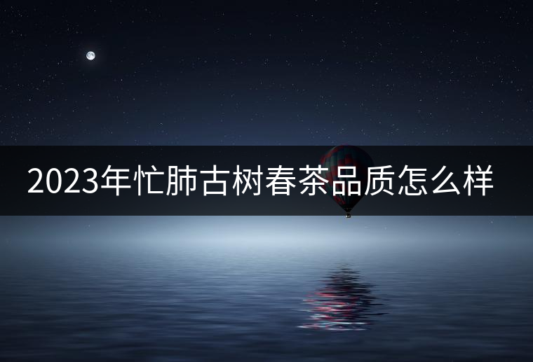 2023年忙肺古樹(shù)春茶品質(zhì)怎么樣？