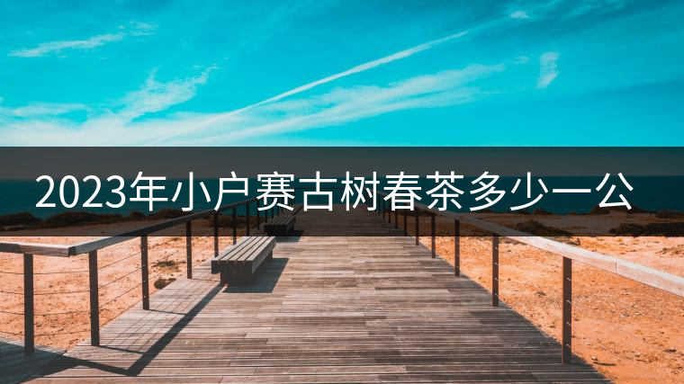 2023年小戶賽古樹春茶多少一公斤？