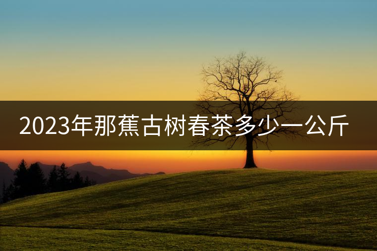 2023年那蕉古樹春茶多少一公斤？