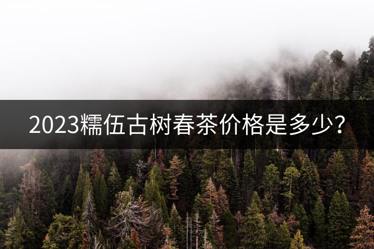 2023糯伍古樹春茶價格是多少？