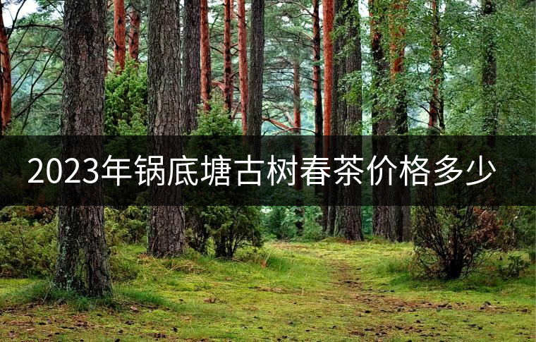 2023年鍋底塘古樹春茶價格多少？