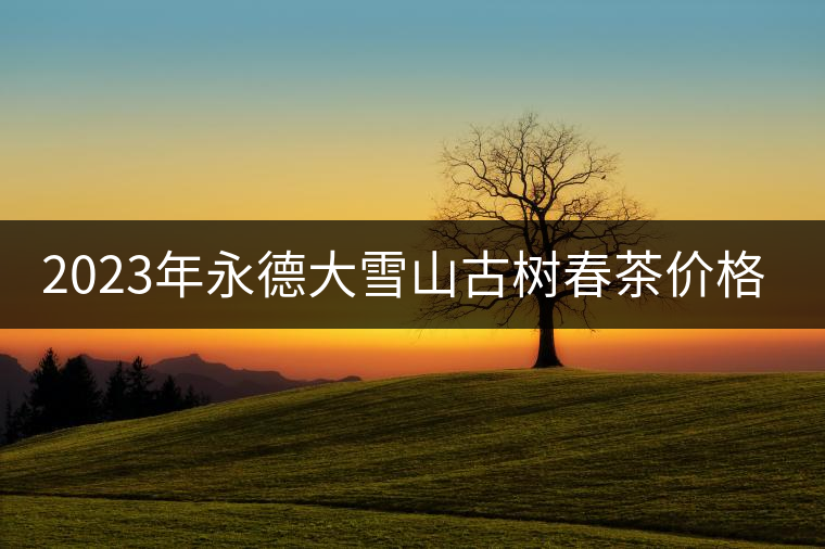 2023年永德大雪山古樹春茶價(jià)格是多少？