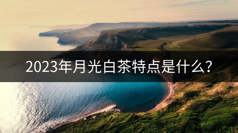 2023年月光白茶特點是什么？