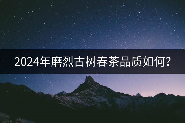 2024年磨烈古樹春茶品質如何？