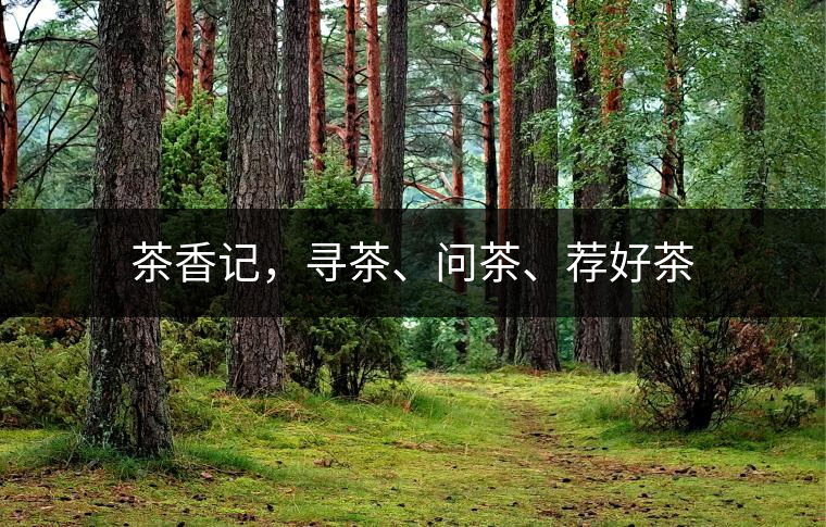 茶香記，尋茶、問茶、薦好茶