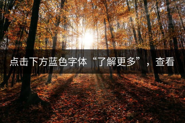 點(diǎn)擊下方藍(lán)色字體“了解更多”，查看文中經(jīng)典老班章普洱茶品及更多好茶！