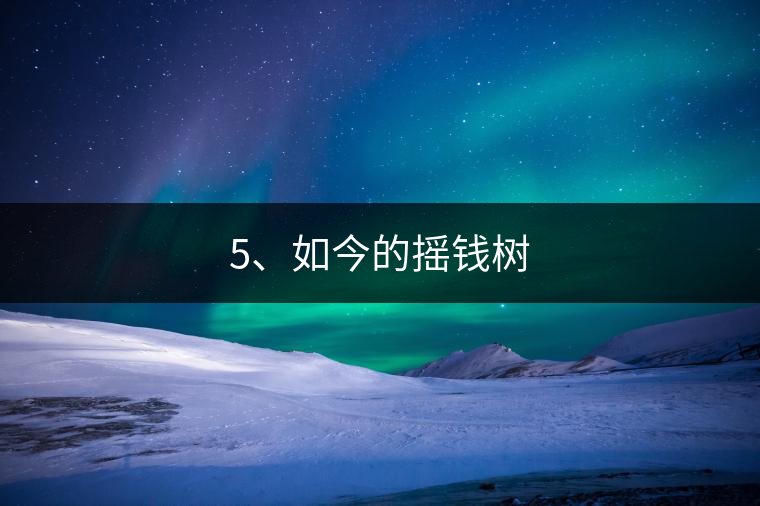 5、如今的搖錢樹