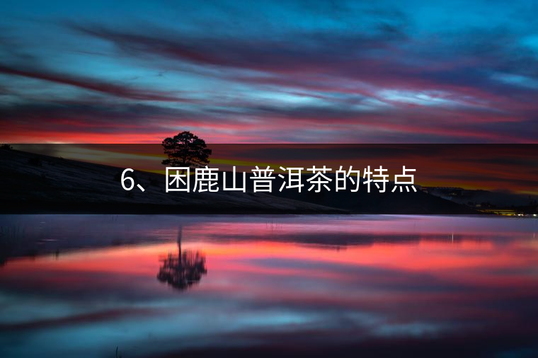 6、困鹿山普洱茶的特點(diǎn)