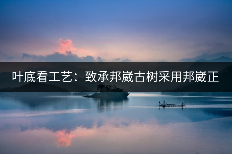 葉底看工藝：致承邦崴古樹采用邦崴正山三百至五百年古茶樹頭春鮮葉。經(jīng)手工殺青，石墨壓制，餅型周正，嚴(yán)守傳統(tǒng)工藝；葉底鮮活，幾乎無糊點(diǎn)，前期殺青較輕，這樣更利于后期轉(zhuǎn)化。