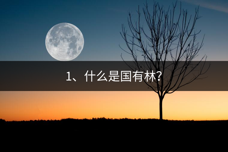 1、什么是國有林？