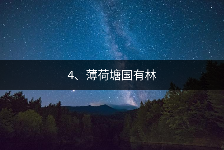 4、薄荷塘國有林