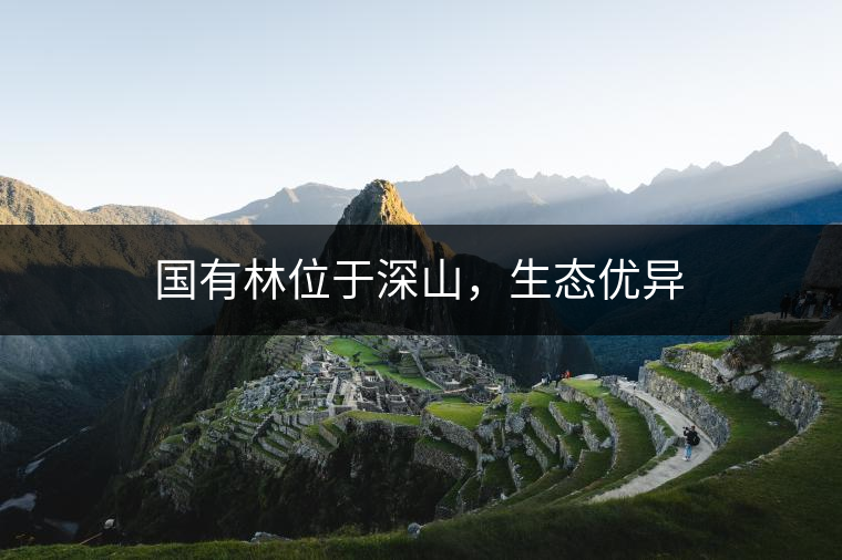 國有林位于深山，生態(tài)優(yōu)異