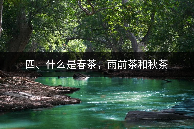 四、什么是春茶，雨前茶和秋茶