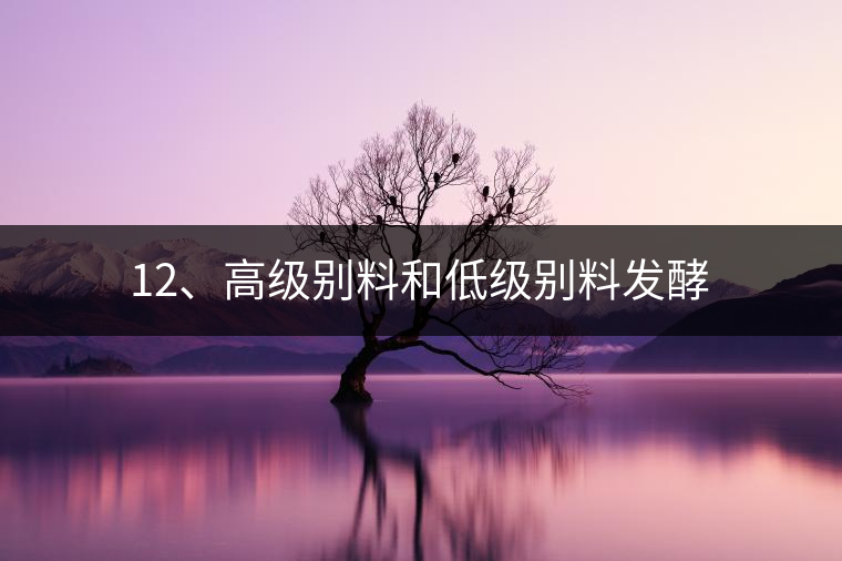12、高級(jí)別料和低級(jí)別料發(fā)酵