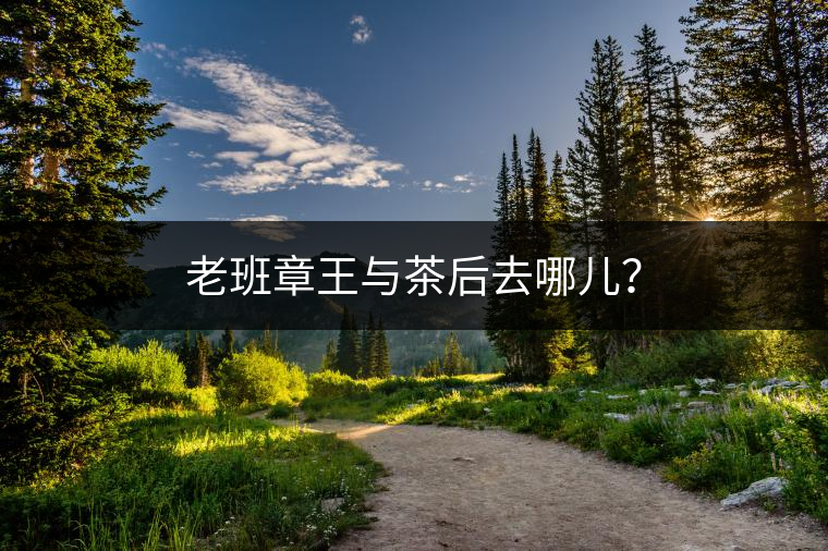 老班章王與茶后去哪兒？