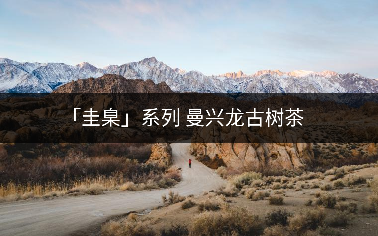 「圭臬」系列 曼興龍古樹茶