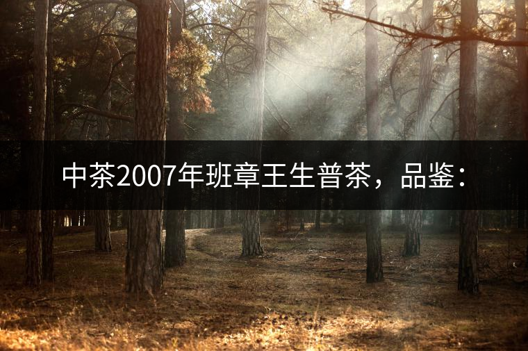 中茶2007年班章王生普茶，品鑒：