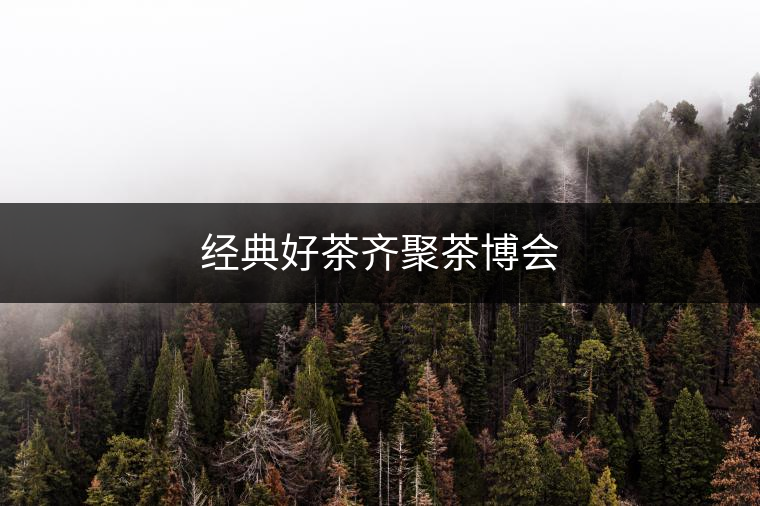經(jīng)典好茶齊聚茶博會(huì)