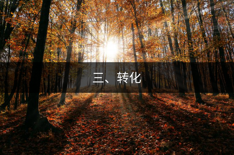 三、轉(zhuǎn)化