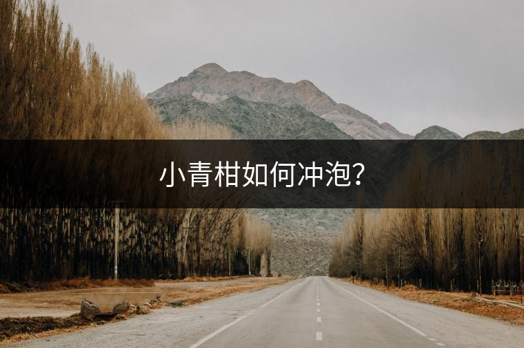 小青柑如何沖泡？