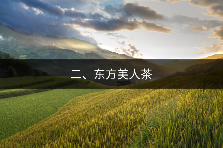 二、東方美人茶