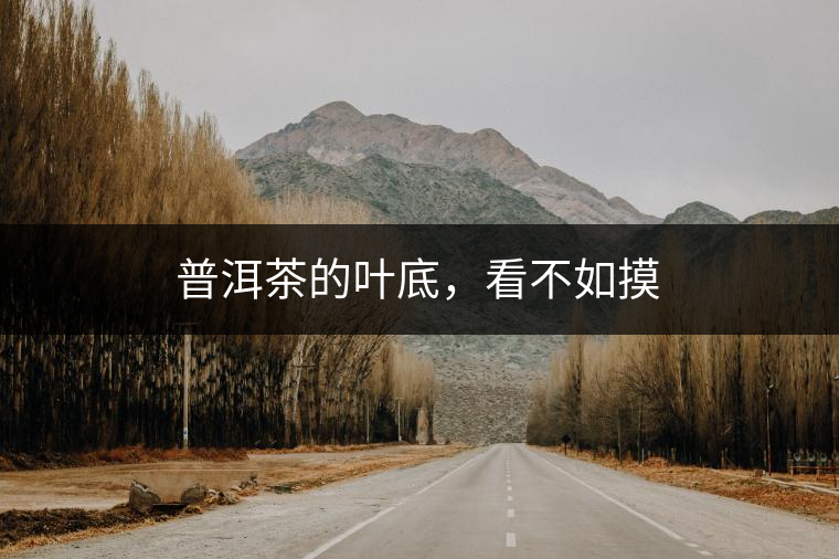 普洱茶的葉底，看不如摸