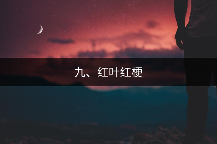 九、紅葉紅梗