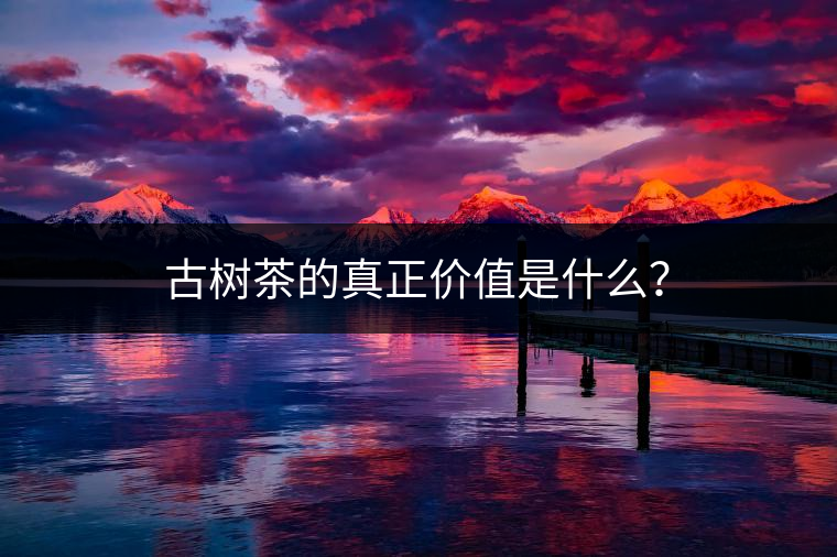 古樹茶的真正價值是什么？