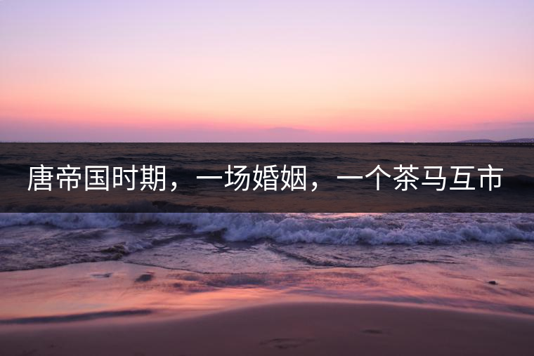 唐帝國時期，一場婚姻，一個茶馬互市，讓這里結(jié)束了漢藏對峙。宋代南茶北，西北茶馬司設立，因茶而改變的生活日益凸顯。元代八思巴與忽必烈在這一區(qū)域結(jié)盟，為蒙藏兩大民族交往鋪好通衢大道，明代俺答汗與達賴在山海之間追思各自先人，青海人宗喀巴創(chuàng)建的黃教通過蒙、藏兩大領袖的推廣，締造了影響至今的格局。大清經(jīng)過康、雍、乾三代勵精圖治，滿、藏、蒙各自龐大的疆域第一次完整地統(tǒng)轄在中央帝國的版圖下。