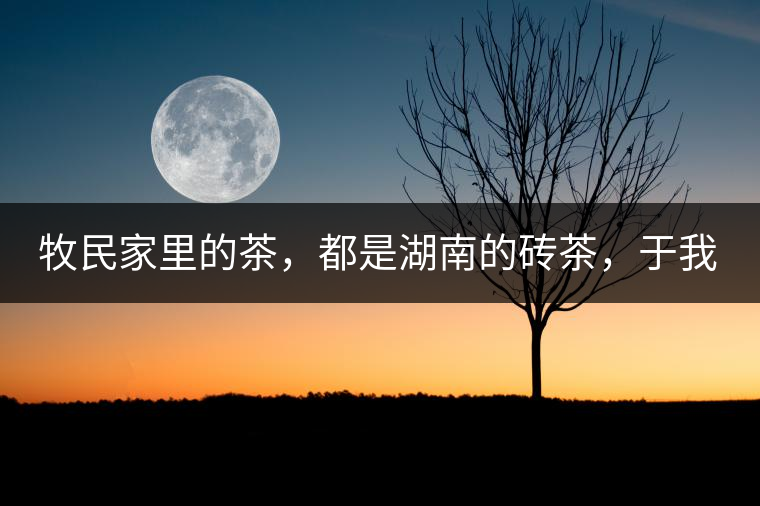 牧民家里的茶，都是湖南的磚茶，于我們而言不見得有多好，它們粗糙得看可見茶梗和樹枝，但于他們來說，卻是每日的生活必需品。端到桌上的茶碗，也是缺了口鋦過青花瓷碗，聞得見修補后的手溫，喝下加過鹽巴的磚茶，一身暖意，融化了深藏在發(fā)底的冰屑，溫暖著身心。
