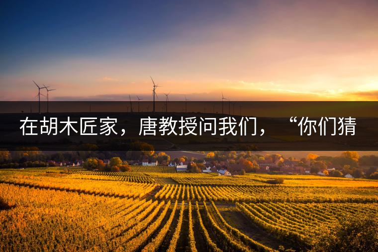 在胡木匠家，唐教授問我們，“你們猜猜他們家的茶放在哪里？”我們回答廚房、客廳都不對，“難道像寺院一樣，有專門的茶房不成？”教授和木匠都哈哈大笑，連連搖頭。在木匠的帶領下，我們來到主人的臥室，茶磚整齊有序地堆放在床頭柜里。一家之主的臥室，既是休息之所，亦是一家財富與傳家寶的收藏地。茶之精貴，毋需多言。