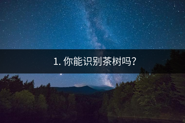 ??1. 你能識別茶樹嗎？