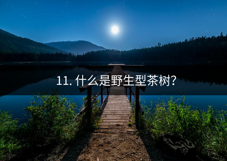 ? 11. 什么是野生型茶樹？