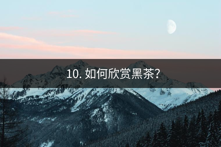 ? 10. 如何欣賞黑茶？
