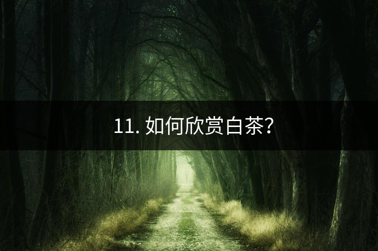 ??11. 如何欣賞白茶？