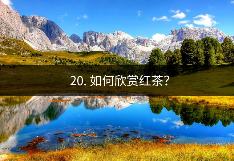 ? 20. 如何欣賞紅茶？