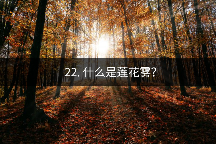 ? 22. 什么是蓮花霧？
