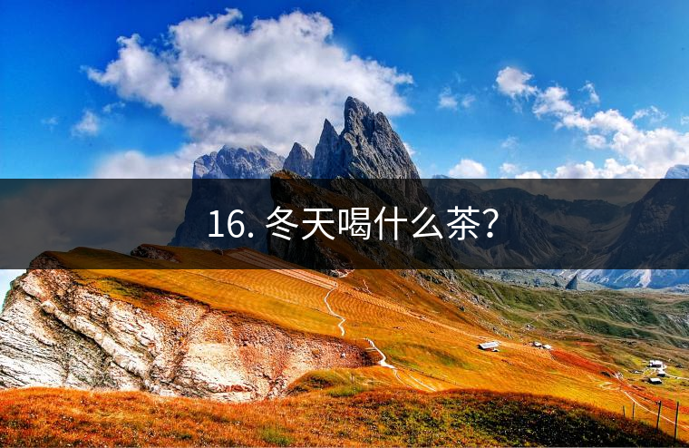? 16. 冬天喝什么茶？