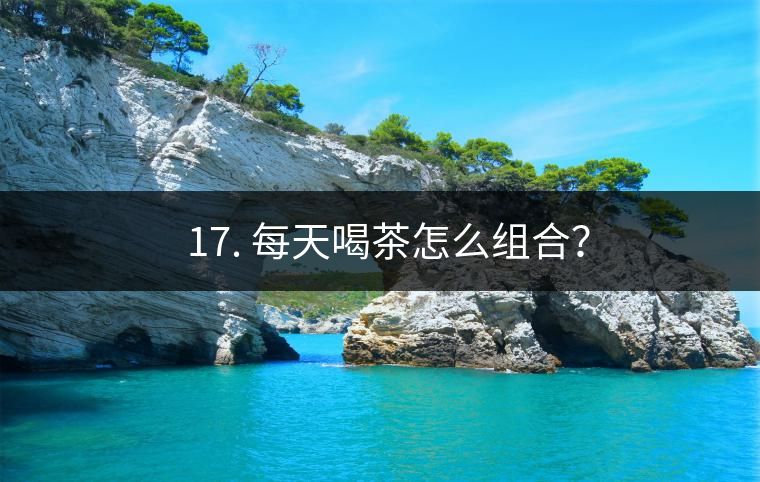 ? 17. 每天喝茶怎么組合？
