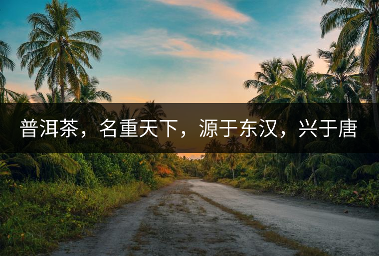 普洱茶，名重天下，源于東漢，興于唐宋，盛于明清。