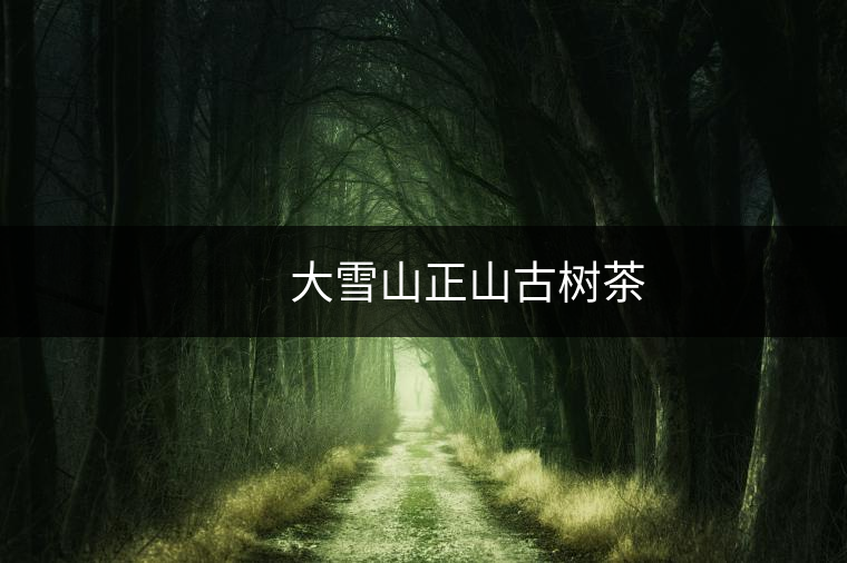 　　大雪山正山古樹(shù)茶