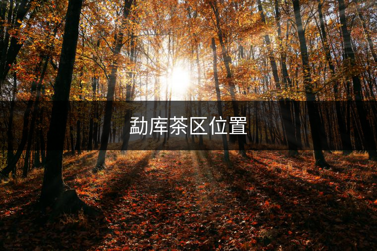 勐庫茶區(qū)位置 勐庫茶區(qū)位置