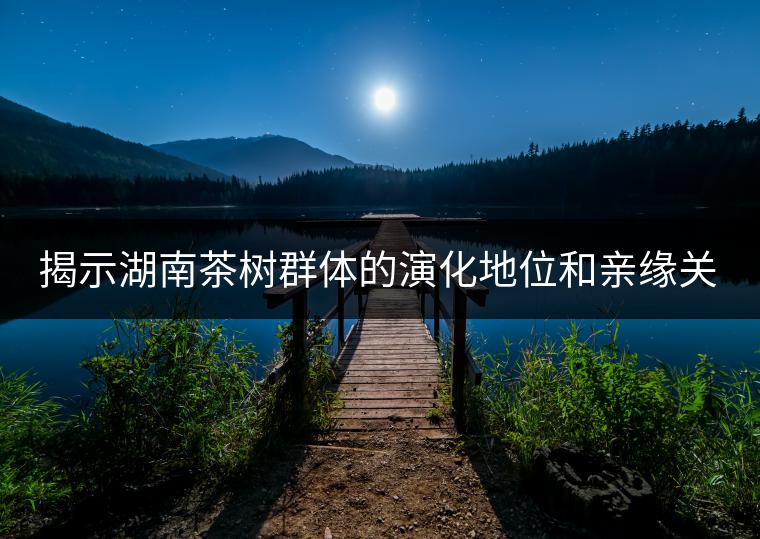 揭示湖南茶樹群體的演化地位和親緣關系 揭示湖南茶樹群體的演化地位和親緣關系