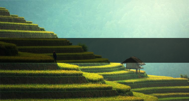 　　是什么支撐著一個(gè)家庭作坊式的小廠成長(zhǎng)為一個(gè)產(chǎn)值上億元的現(xiàn)代企業(yè)？