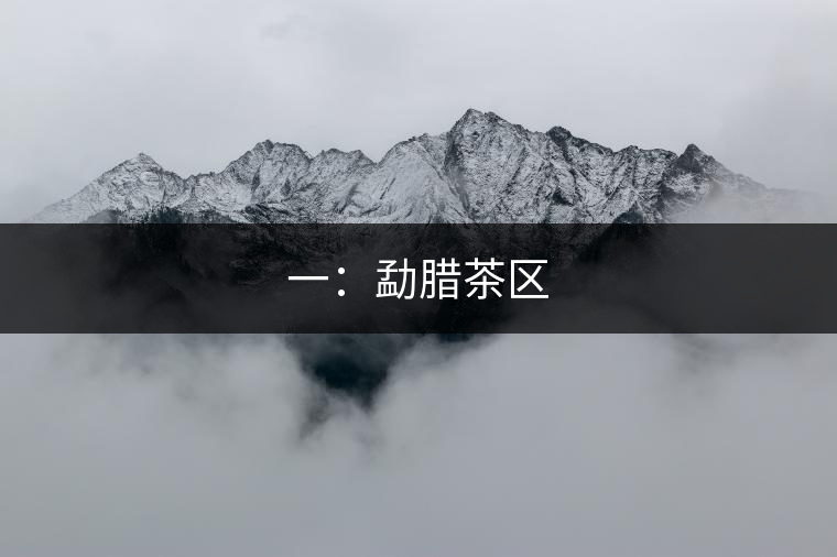 三:普洱茶區(qū) 三:普洱茶區(qū)