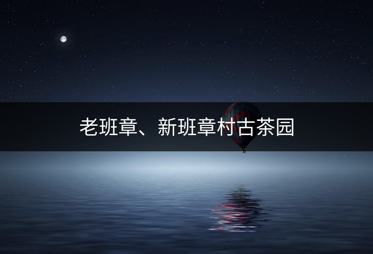 老班章、新班章村古茶園