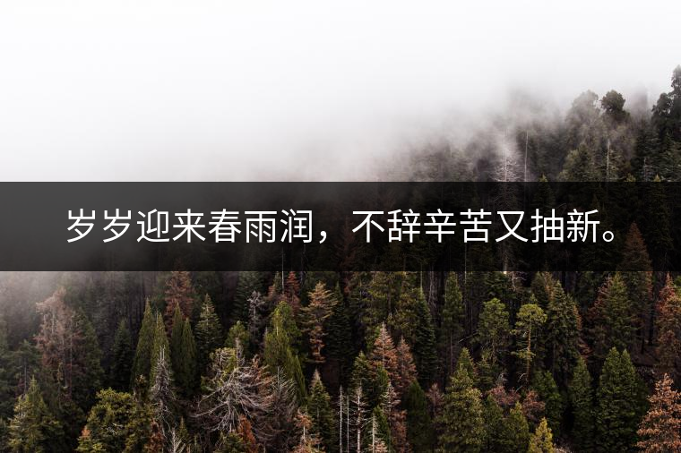 歲歲迎來春雨潤，不辭辛苦又抽新。